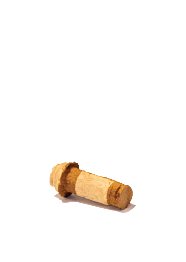 Pill Bottle